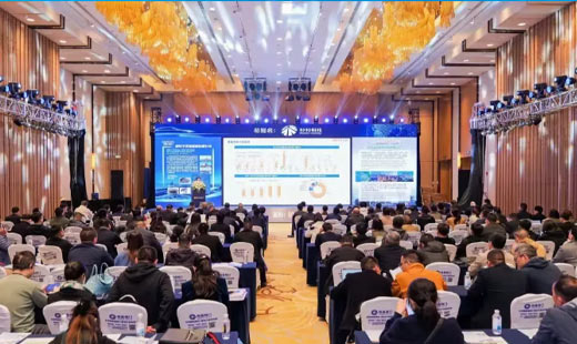 凯金新能源荣获&ldquo;2024年度锂电负极材料行业最具品牌价值奖&rdquo;